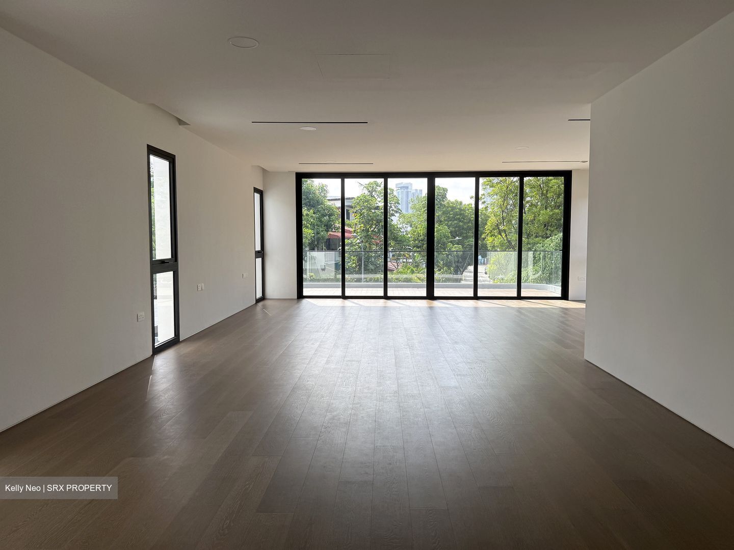 Henry Park (D10), Detached #557926001
